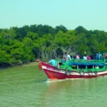 Bhitarkanika-National-Park